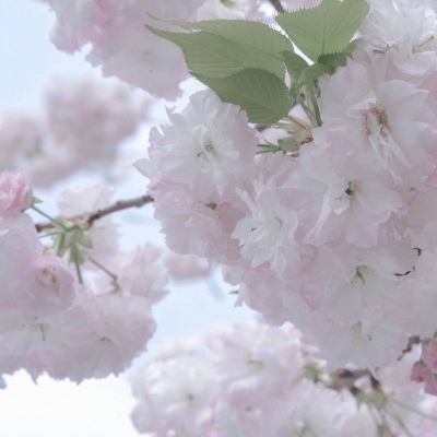 文昌FurryQQ群介绍